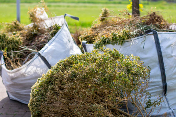 Household Junk Removal in Wolfe City, TX